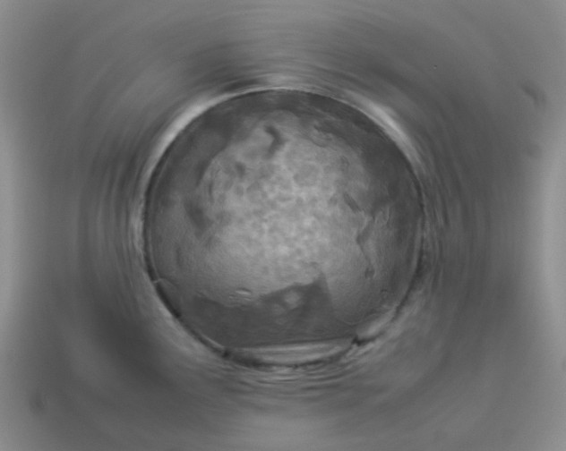 X0000114141291200910221517