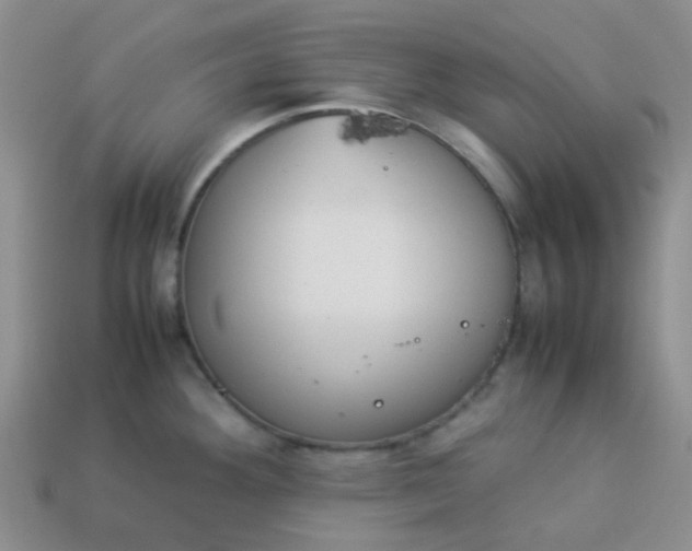 X0000114141292200910221517