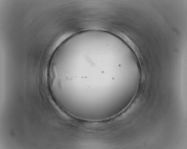 X0000114141293200910221517