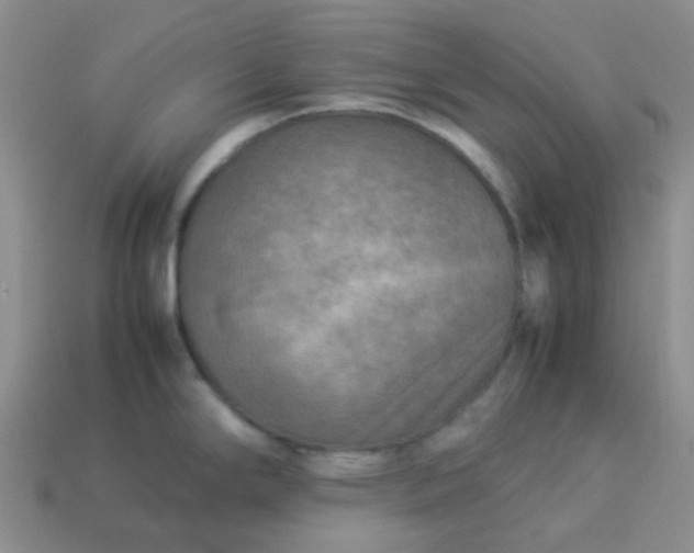 X0000114141294200910221517