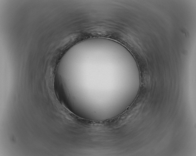 X0000114141297200910221517