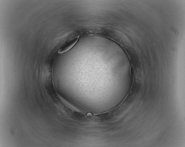 X0000114141298200910221517