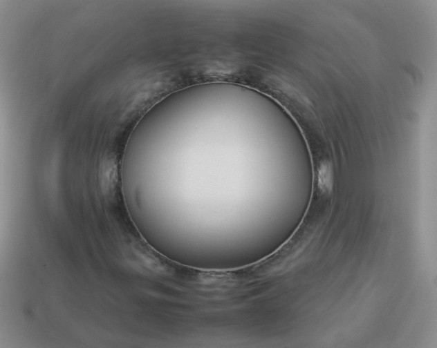 X0000114141299200910221517