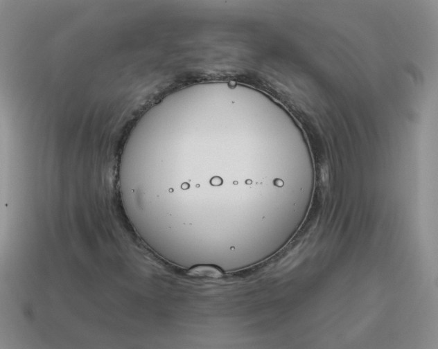 X0000114141300200910221517