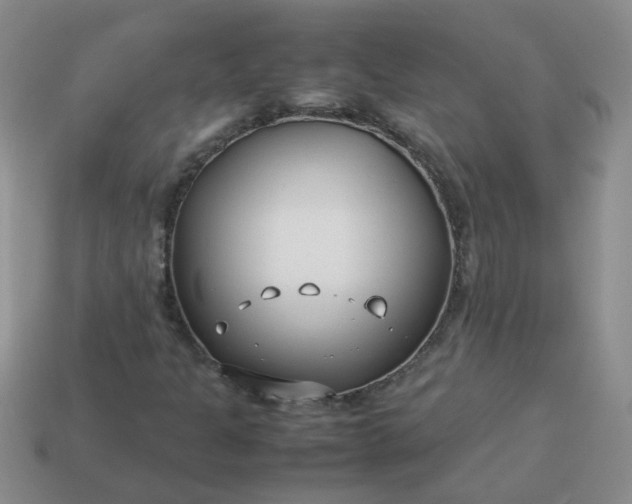 X0000114141301200910221517