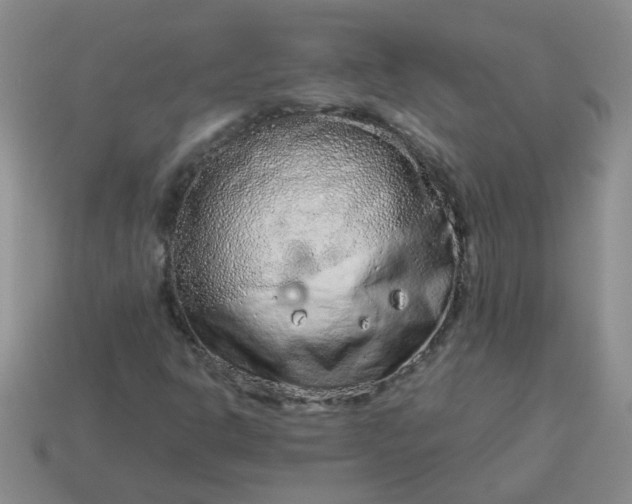 X0000114141302200910221517