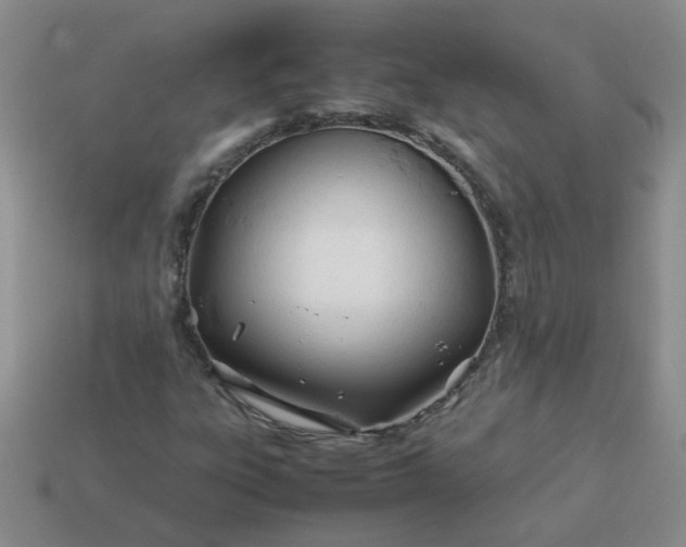 X0000114141303200910221517