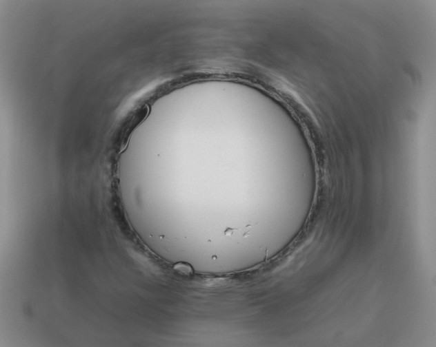 X0000114141304200910221517