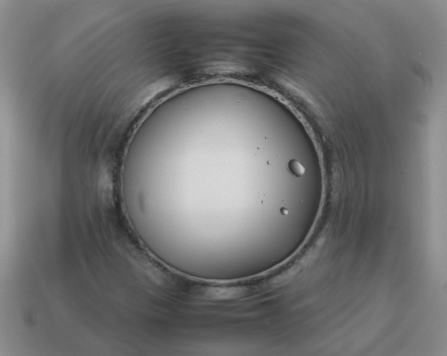 X0000114141305200910221517