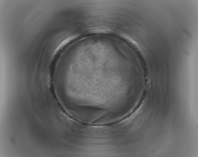 X0000114141306200910221517