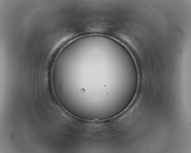 X0000114141307200910221517