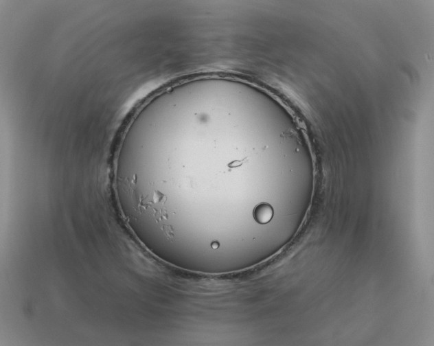 X0000114141308200910221517