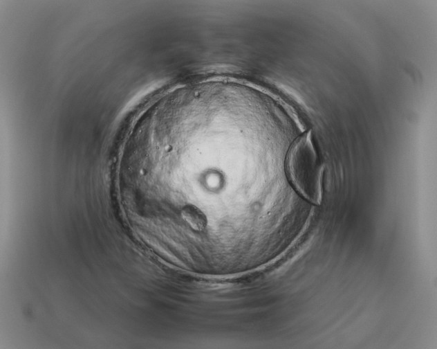 X0000114141309200910221517