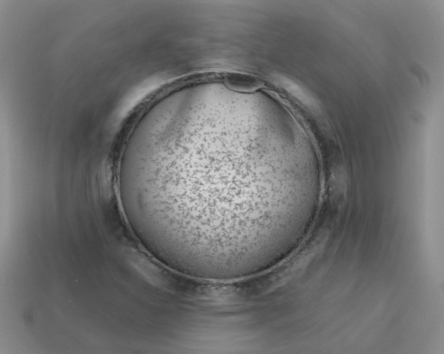 X0000114141310200910221517