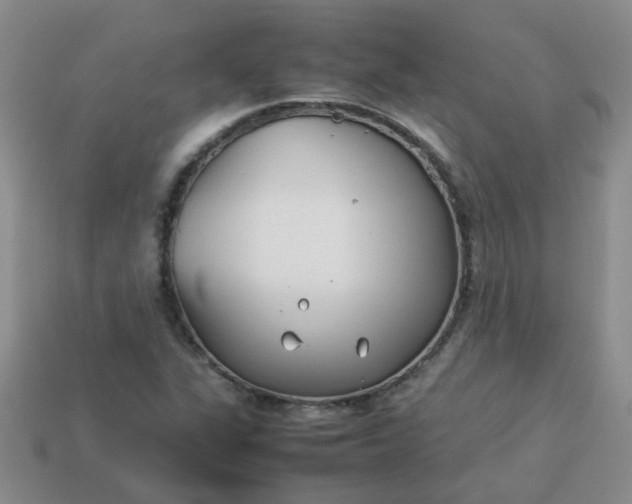 X0000114141311200910221517