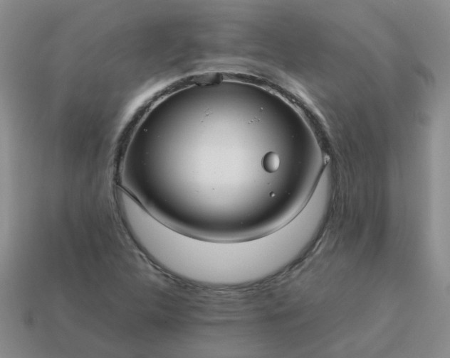 X0000114141312200910221517