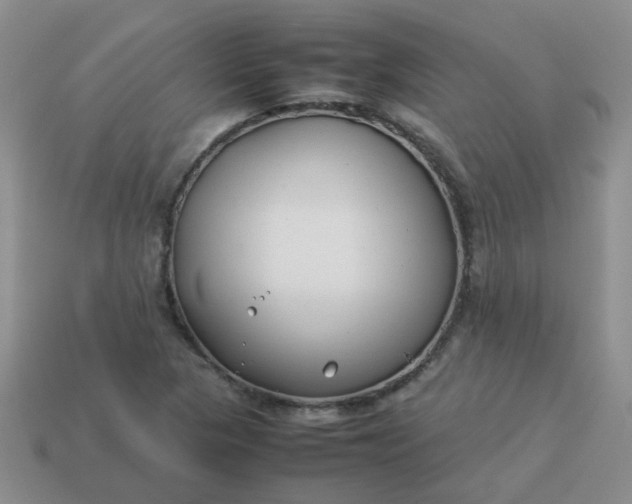 X0000114141313200910221517