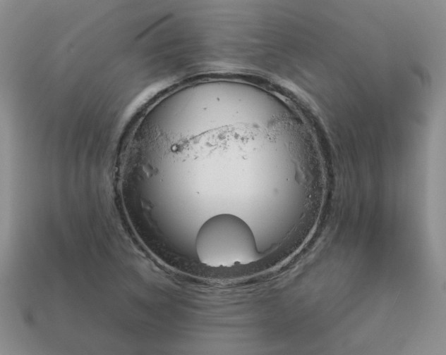 X0000114141314200910221517