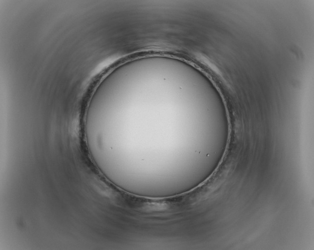 X0000114141315200910221517