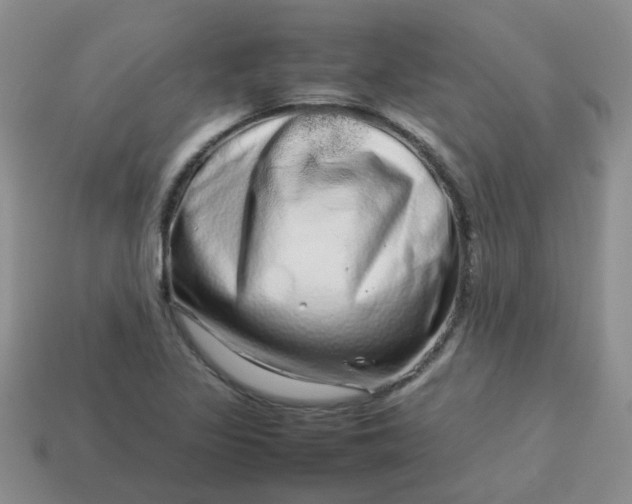 X0000114141317200910221517