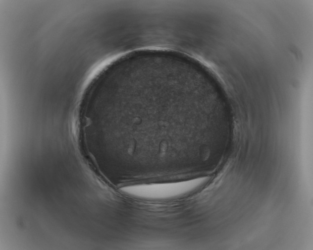 X0000114141319200910221517