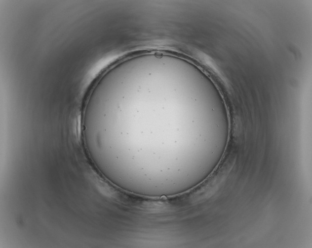 X0000114141320200910221517