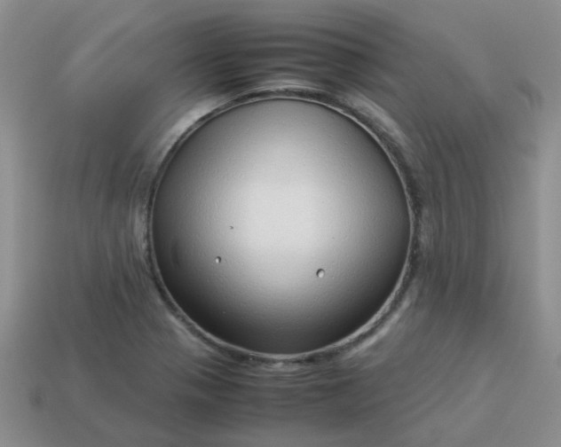 X0000114141321200910221517