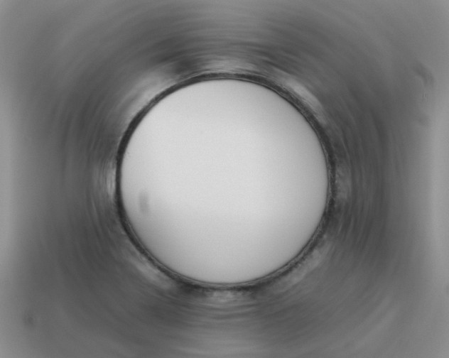 X0000114141322200910221517