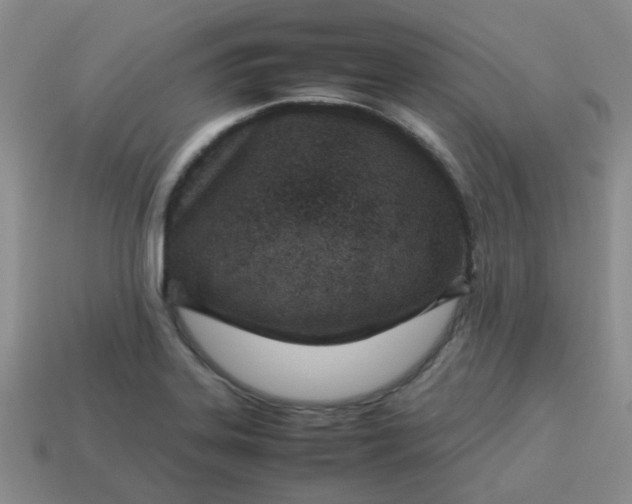 X0000114141323200910221517