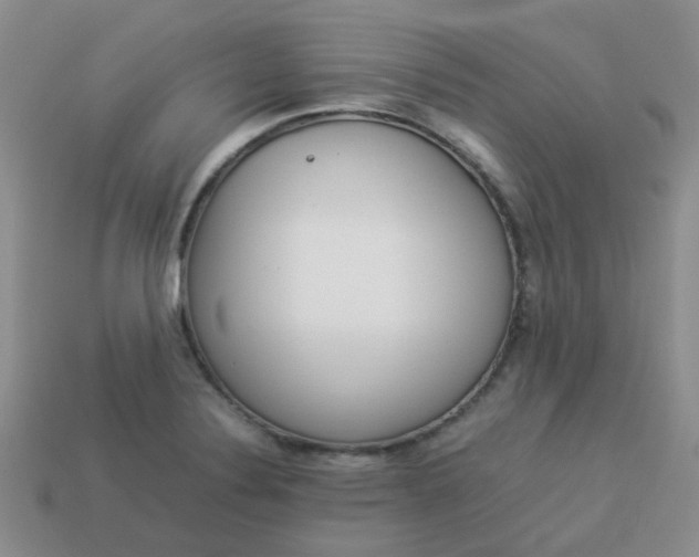 X0000114141324200910221517