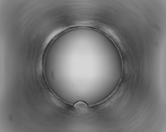 X0000114141328200910221517