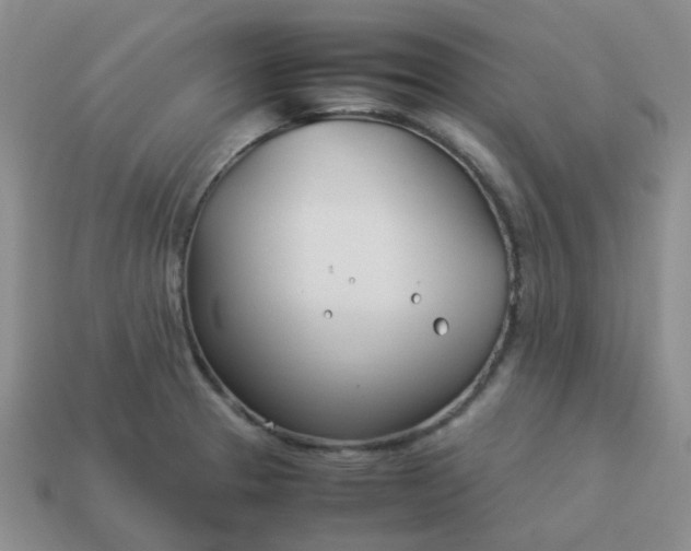 X0000114141329200910221517