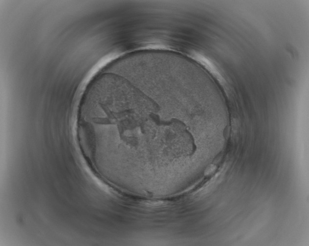 X0000114141331200910221517