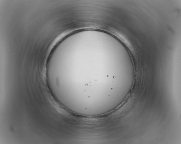 X0000114141332200910221517