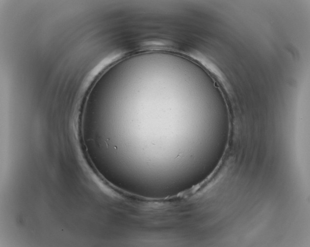 X0000114141333200910221517