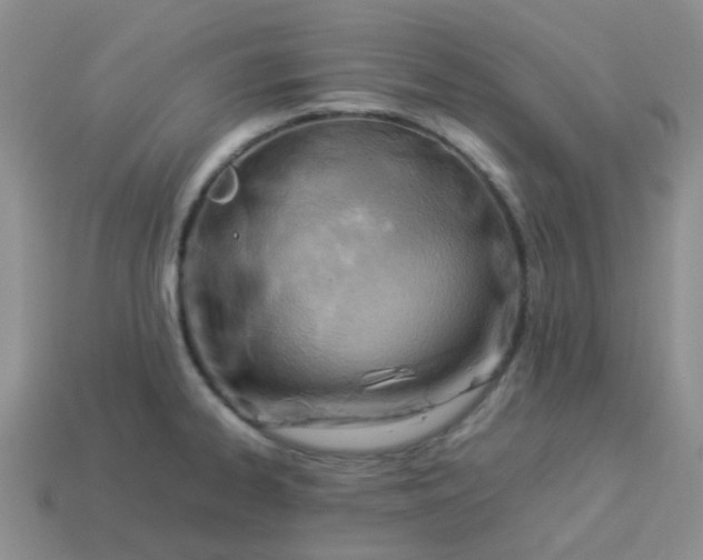 X0000114141334200910221517