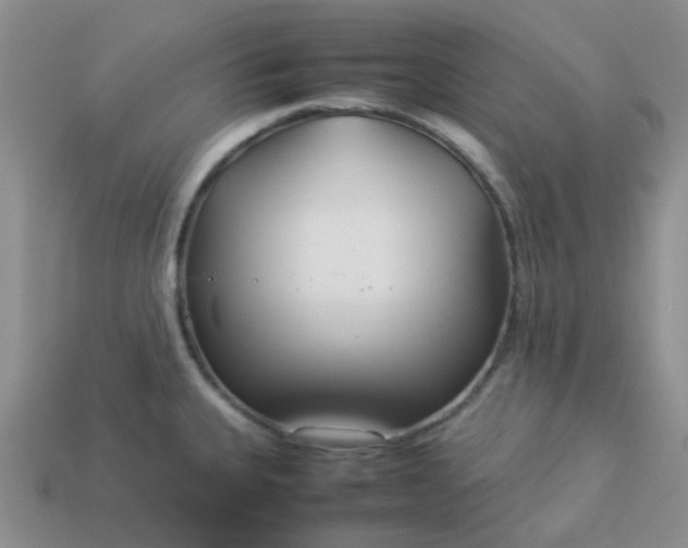 X0000114141335200910221517