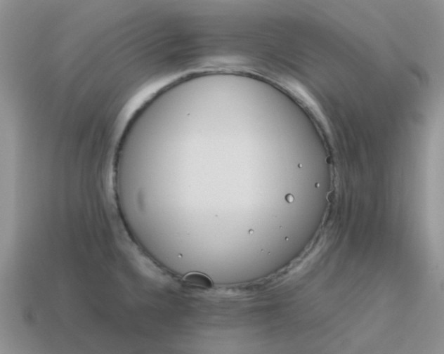 X0000114141336200910221517