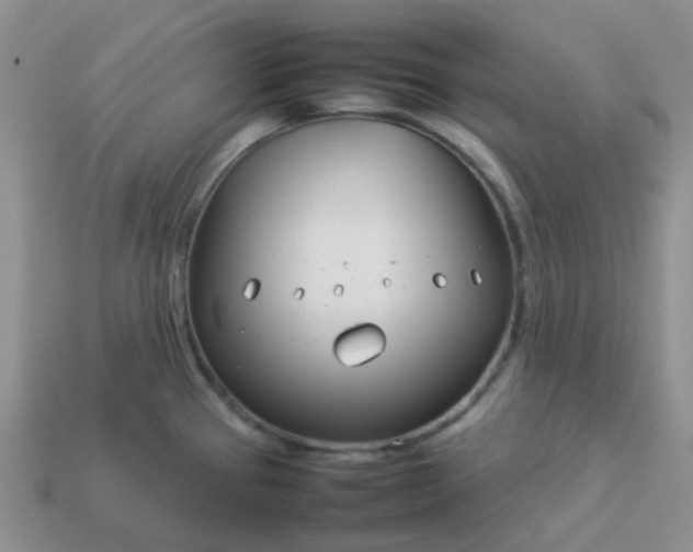 X0000114141337200910221517