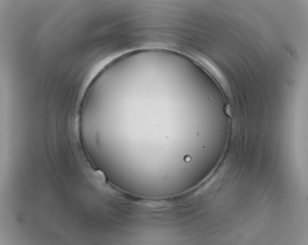 X0000114141340200910221517