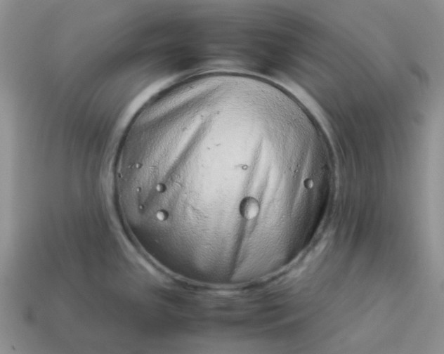 X0000114141341200910221517