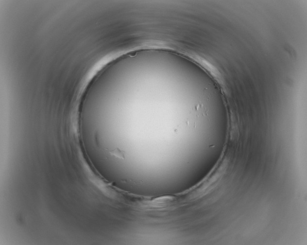 X0000114141342200910221517