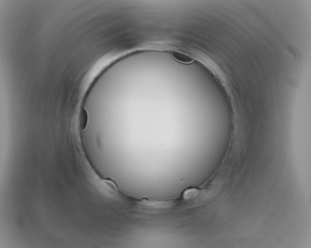 X0000114141344200910221517