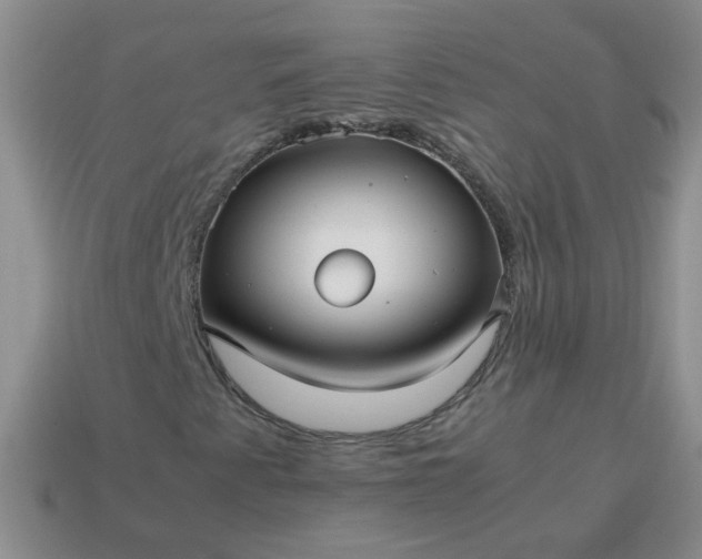 X0000114141345200910221517