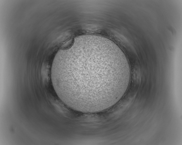 X0000114141346200910221517