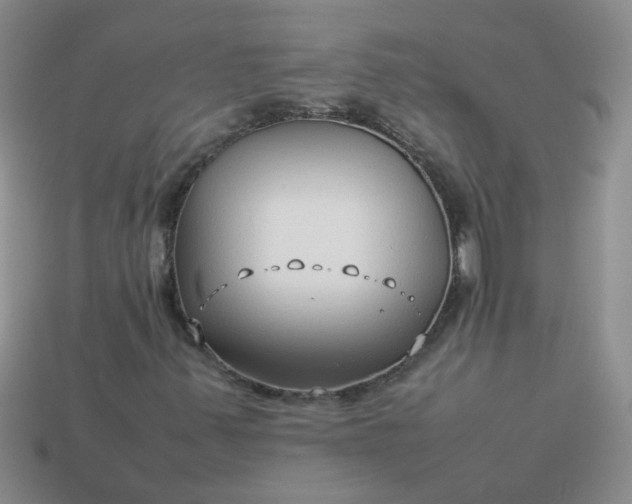 X0000114141347200910221517