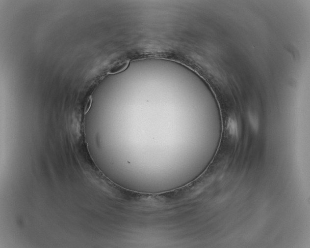 X0000114141348200910221517