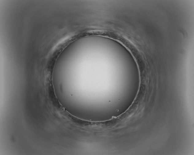 X0000114141351200910221517