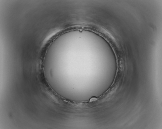 X0000114141352200910221517