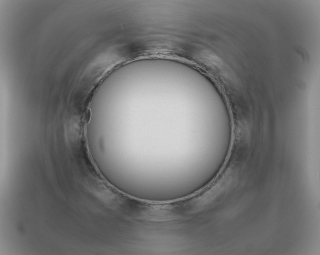 X0000114141353200910221516